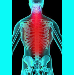 Home Back Pain Relief