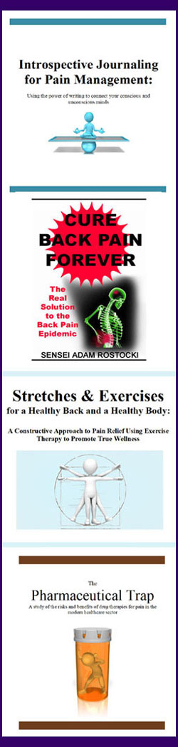 recommended back pain books